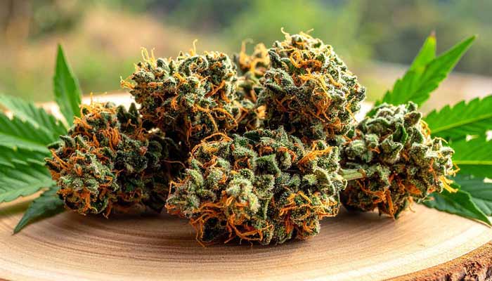 THCA Flower